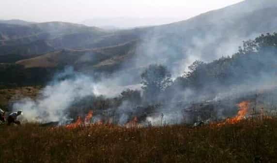 آتش فقدان پایگاه دایمی اطفای حریق بر جان جنگل های قره داغ