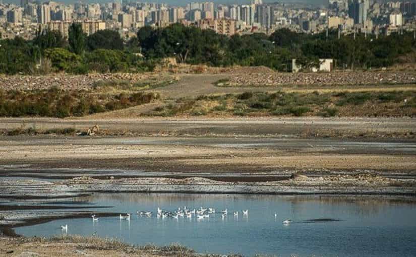 هشدار شهردار به ساخت و ساز غیر مجاز در محدوده پارک بزرگ تبریز