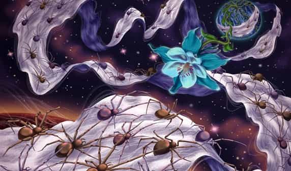 تغییرات اقلیمی و تاثیرگذاری شگرف بر حیوانات