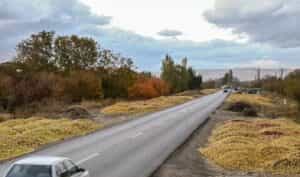 سیب آذربایجان محصول بی تدبیری و نمادی از تاراج ملی