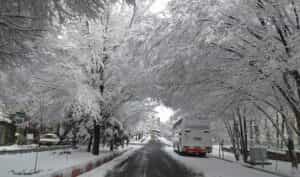 بارش برف و کولاک آذربایجان‌شرقی را فرا می‌گیرد