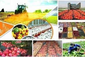 سالانه پنج میلیون تن محصول کشاورزی در آذربایجان‌شرقی تولید می‌شود
