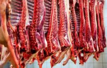 منتظر ارزانی شدید گوشت در بازار باشیم؟