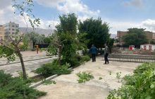 درختان پارک شمس‌تبریزی به کلانتر باغی انتقال یافته است