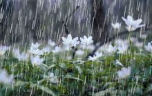 شروع بارش‌های رگباری در نواحی شمالی و شرقی آذربایجان‌شرقی