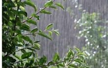 کاهش بارش در آذربایجان‌شرقی