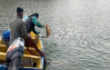اجرای طرح صید محدود ماهیان استخر ائل‌گولی آغاز شد