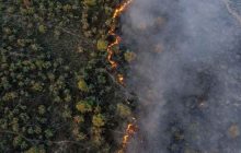 هشدار احتمال وقوع آتش‌سوزی در عرصه‌های منابع طبیعی آذربایجان‌شرقی