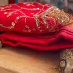 جشن عروسی مجلل قورباغه‌ ها در هند برای مقابله با گرما