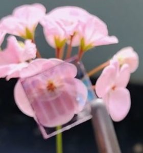 شیشه‌هایی که می‌تواند ناترازی برق را کم کند!