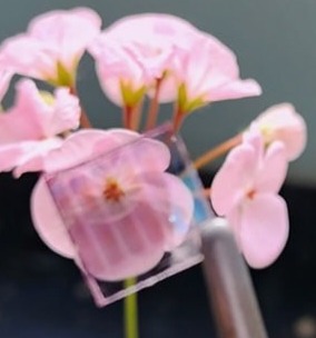 شیشه‌هایی که می‌تواند ناترازی برق را کم کند!