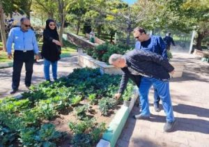 آغاز مرحله سوم اجرای طرح جامع ارزیابی نواحی فضای سبز مناطق