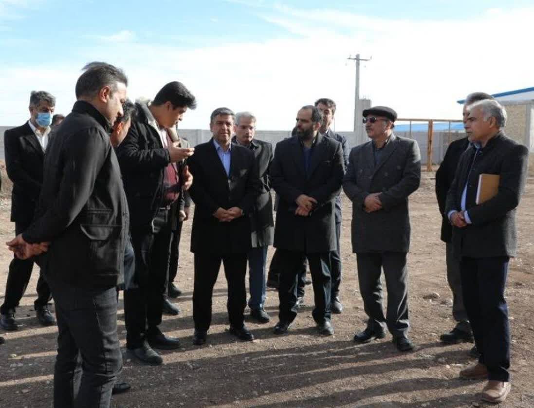 استان اردبیل مرغ و جوجه مورد نیاز ۱۲ استان کشور را تامین می‌ کند