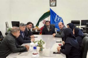 پتانسیل‌های مهارت‌آموزی برای بیماران روانی و جذامی در بیمارستان باباباغی تبریز