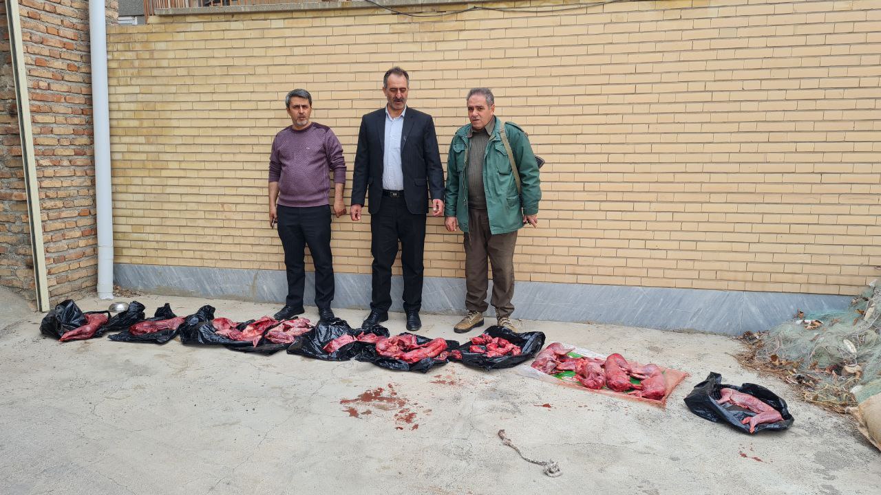 دستگیری شکارچیان غیربومی در اهر/ ضبط تعداد کثیری لاشه خرگوش از متخلفین