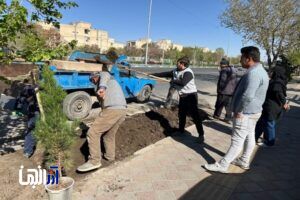 توسعه فضای سبز غرب تبریز با کاشت بوته های بهاری