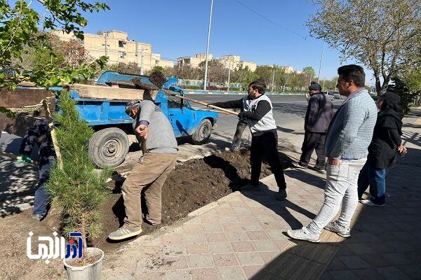 توسعه فضای سبز غرب تبریز با کاشت بوته های بهاری