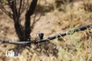 سازمان سیما، منظر و فضای سبز شهرداری تبریز