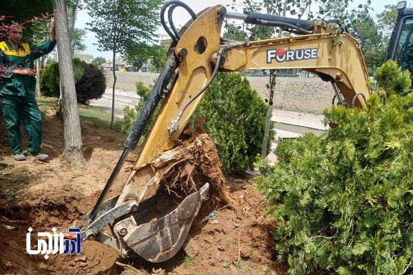 حذف بالغ بر ۲۰ کنده خشکیده درختان در محدوده شهرداری منطقه ۸