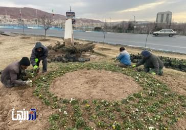 آغاز کاشت انواع گل بهاره در شرق تبریز