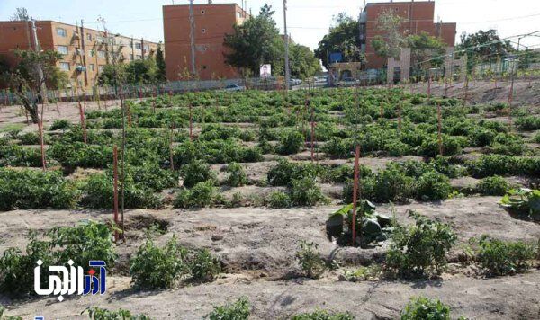 افزایش تملک باغات لاله تبریز توسط شهرداری منطقه ۷