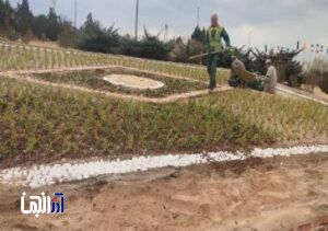 تداوم کاشت گل و درختچه در جنوب غرب تبریز