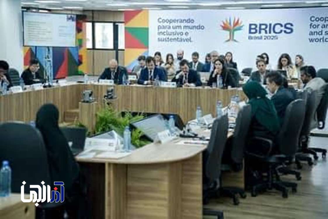 دیپلماسی فعال ایران در اجلاس وزیران کشاورزی بریکس/ رایزنی‌ها ادامه دارد