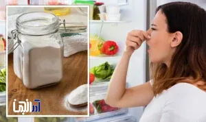راز جوش شیرین در یخچال: آیا واقعا بوی بد را می‌گیرد؟