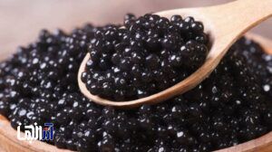 برداشت خاویار از قلب آذربایجان شرقی؛ هفت کیلو خاویار از فیل‌ ماهی هفتاد کیلویی