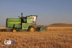اهر، قطب مهم تولید گندم و جو در آذربایجان شرقی