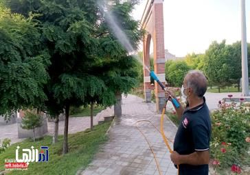 اجرای عملیات سمپاشی 84850 اصله درخت و درختچه در سطح منطقه 9 تبریز