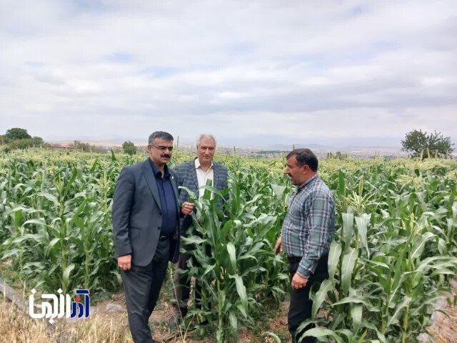 روش‌های علمی، کلید بهبود کیفیت محصولات کشاورزی است