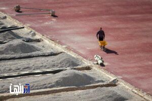 توقف سه‌روزه چمن‌های هیبریدی