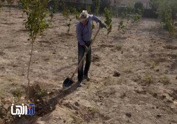 احداث سومین باغ میوه در حوزه جنوب غرب تبریز
