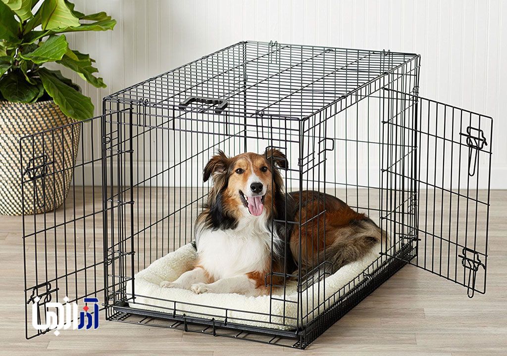 علاقه به حیوانات یا نقض حقوق همسایگان؟+ فیلم