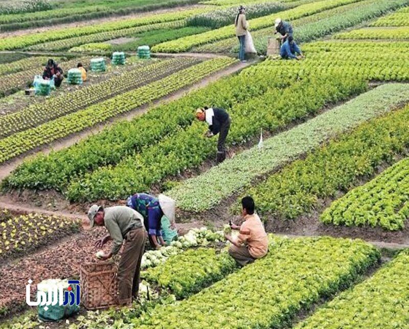 باغات «حکم آباد»، باقیمانده «باغ شهر» تبریز را صیانت کنیم