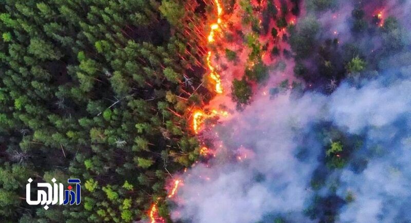 محیط‌زیست بدون آستانه تحمل؛قربانی نبود مطالعات تاب آوری