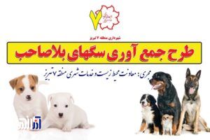 جمع آوری و زنده گیری ۱۱۰۴ قلاده سگ درطول ۹ ماه در سطح حوزه منطقه ۷