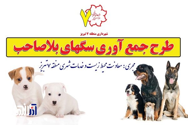 جمع آوری و زنده گیری ۱۱۰۴ قلاده سگ درطول ۹ ماه در سطح حوزه منطقه ۷