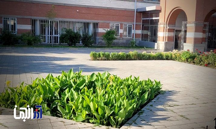 کاشت بیش از ۴ هزار بوته گل اختر در منطقه ۹