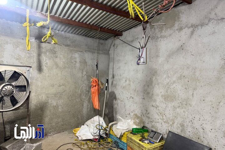 شناسایی دو مرکز کشتار غیرمجاز دام در حومه تبریز