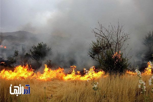 هشدار نسبت به افزایش خطر آتش‌سوزی علف‌های هرز در فصل گرما