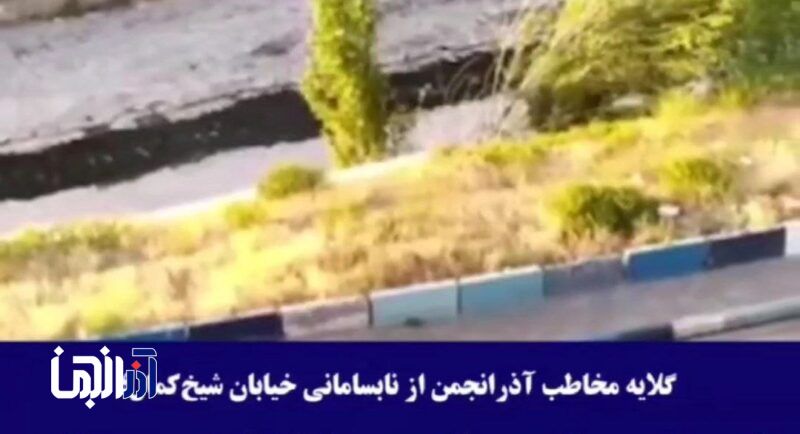 از سگ‌های ولگرد تا انباشت زباله