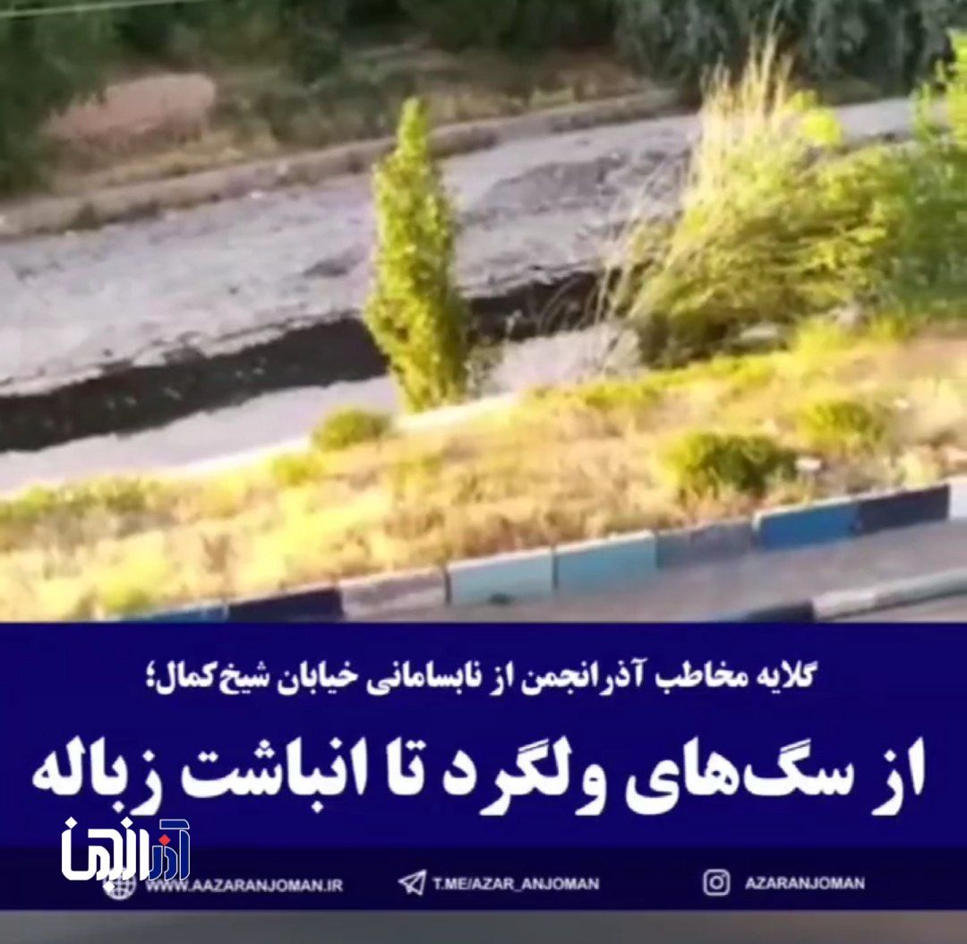 از سگ‌های ولگرد تا انباشت زباله