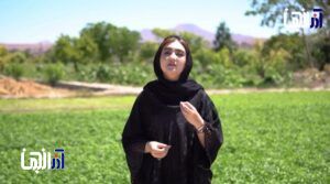 حیات باغهای تبریز در گرو مدیریت هوشمند آب