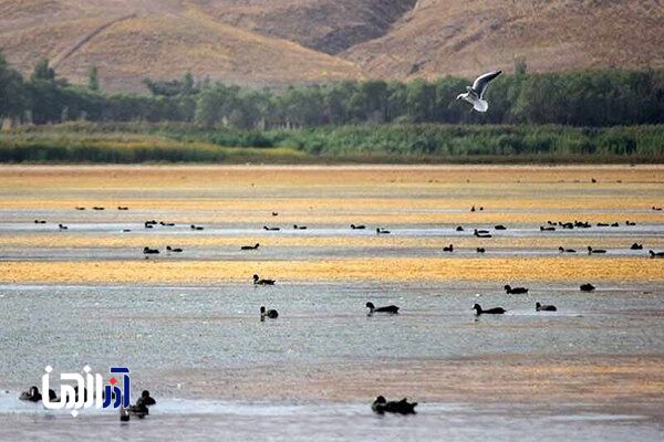 گرمای هوا چگونه اکوسیستم آذربایجان شرقی را دگرگون می‌کند؟