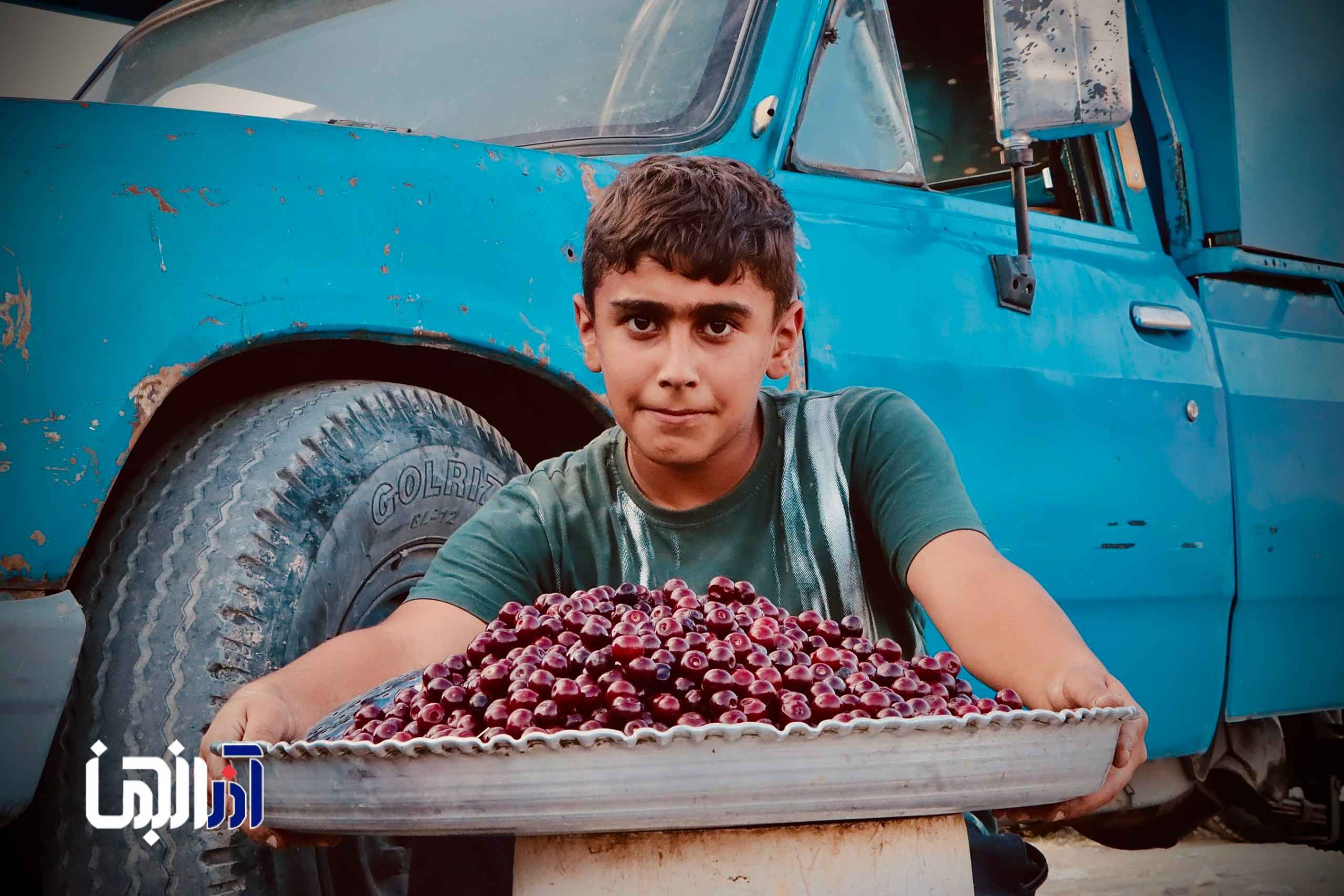 بسته عکس آذرانجمن از عرضه مستقیم محصولات تابستانی باغداران ایوند