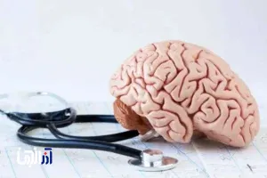 راز تازه آلزایمر کشف شد/ ردپای پلاک‌های میتوکندری در مغز بیماران