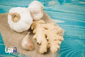 ۴ آنتی‌بیوتیک طبیعی