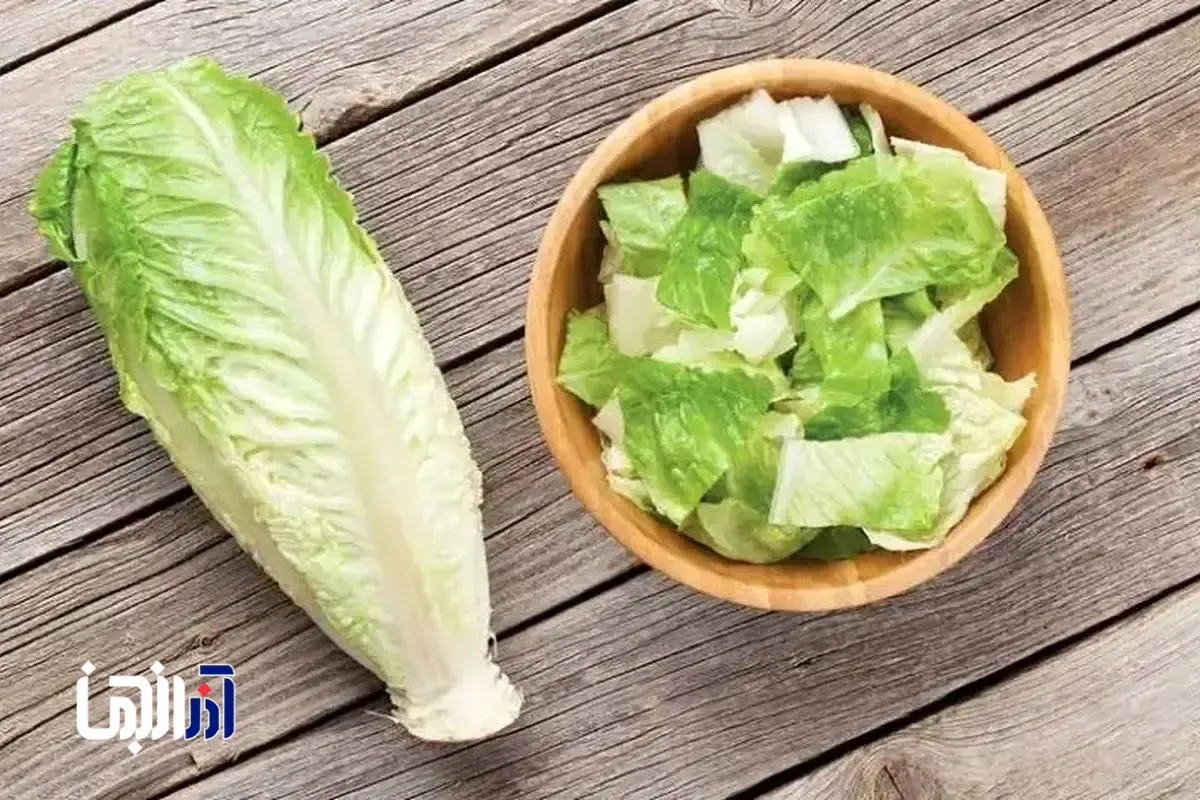 سبزی کم کالری که بیشتر از آنچه فکر می کنیم ارزش غذایی دارد
